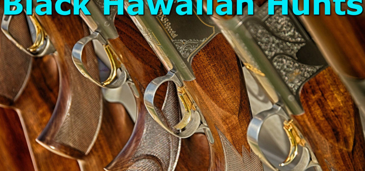 Row of Hunting Rifles