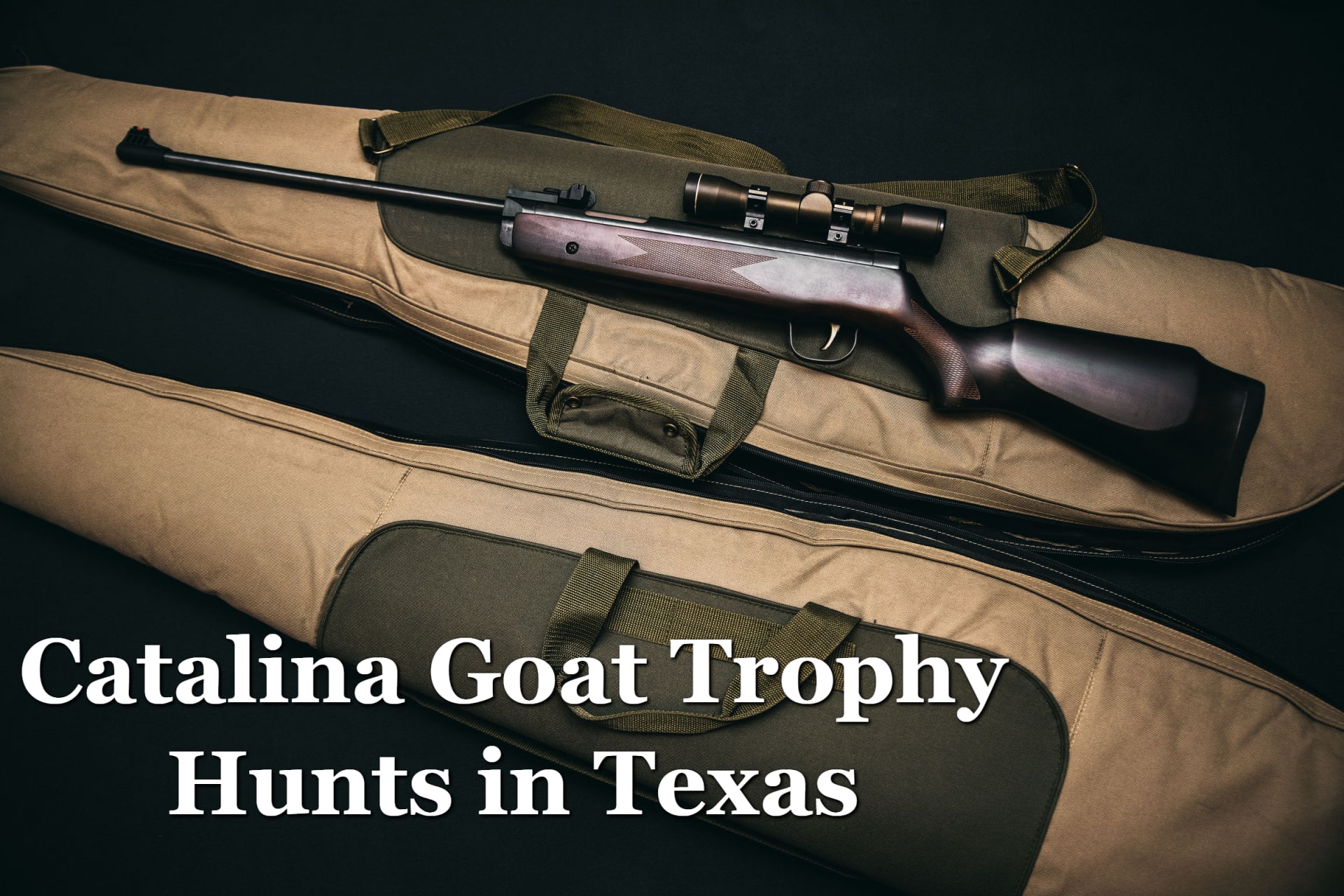 Rifle for Catalina Goat Trophy Hunts in Texas
