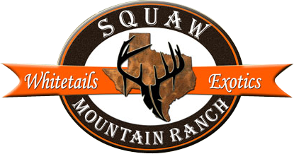 Squaw Mountain Ranch