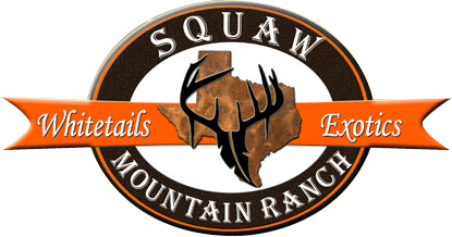 weekend hunting trips texas Squaw Mountain Ranch