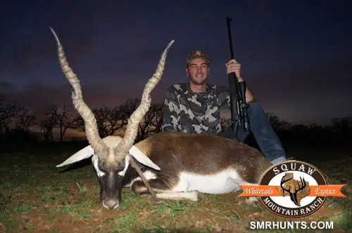 Blackbuck Antelope Hunts texas