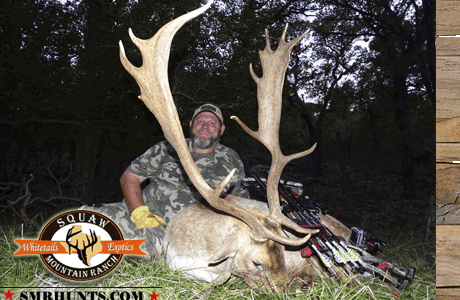 Fallow Deer Hunting texas