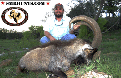 Hybrid Ibex Hunting texas