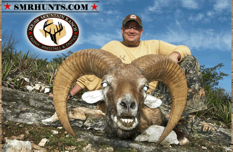 Red Sheep Hunting texas 2