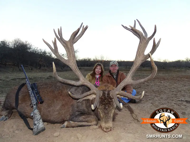 Red Stag Hunts texas