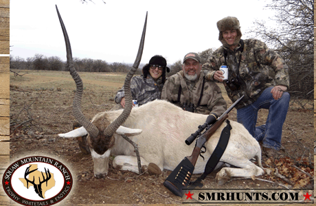 addax hunting in texas