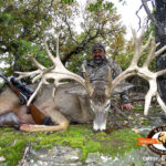 Whitetail Deer Hunts In Texas