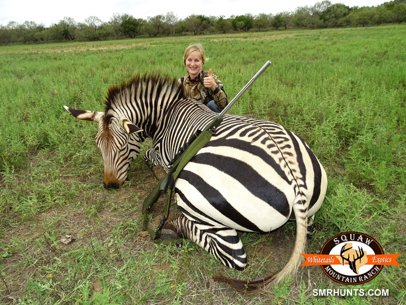 exotic-hunts-kills-zebra-1