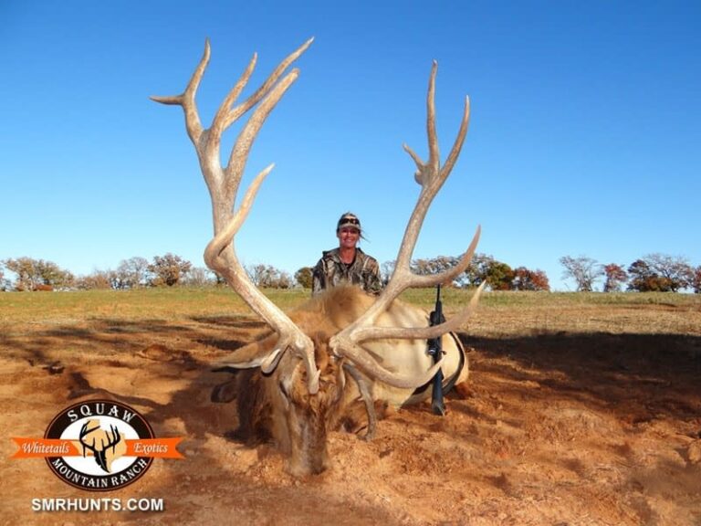 Best Elk Hunts Hunting in North Texas Dallas / Fort Worth Squaw