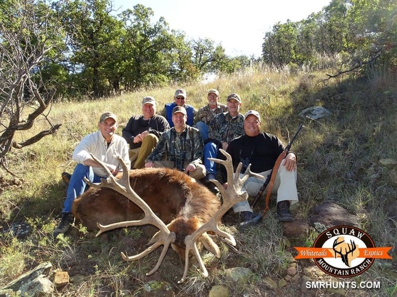 Corporate Hunting Trips in Texas
