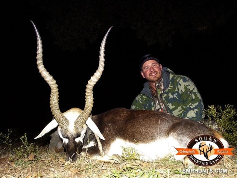 Blackbuck Antelope Hunts