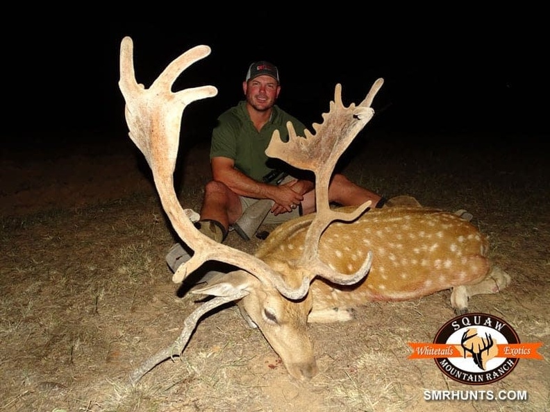 Fallow Deer Trophy Hunts