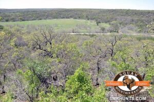 Exotic huntin ranch in texas