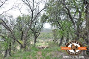 hunting ranch in north texas