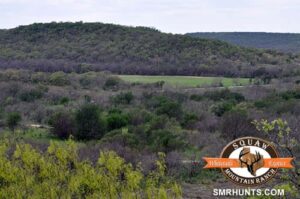 Ultimate exotic hunting ranch in texas