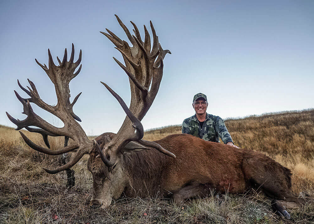 626947d8cfa12539b68eba0b_img-nz-gallery-redstag-3