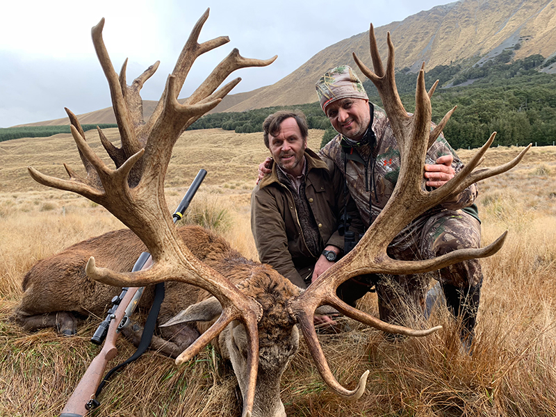 Red-Stag-Matar-SCI-544-MED