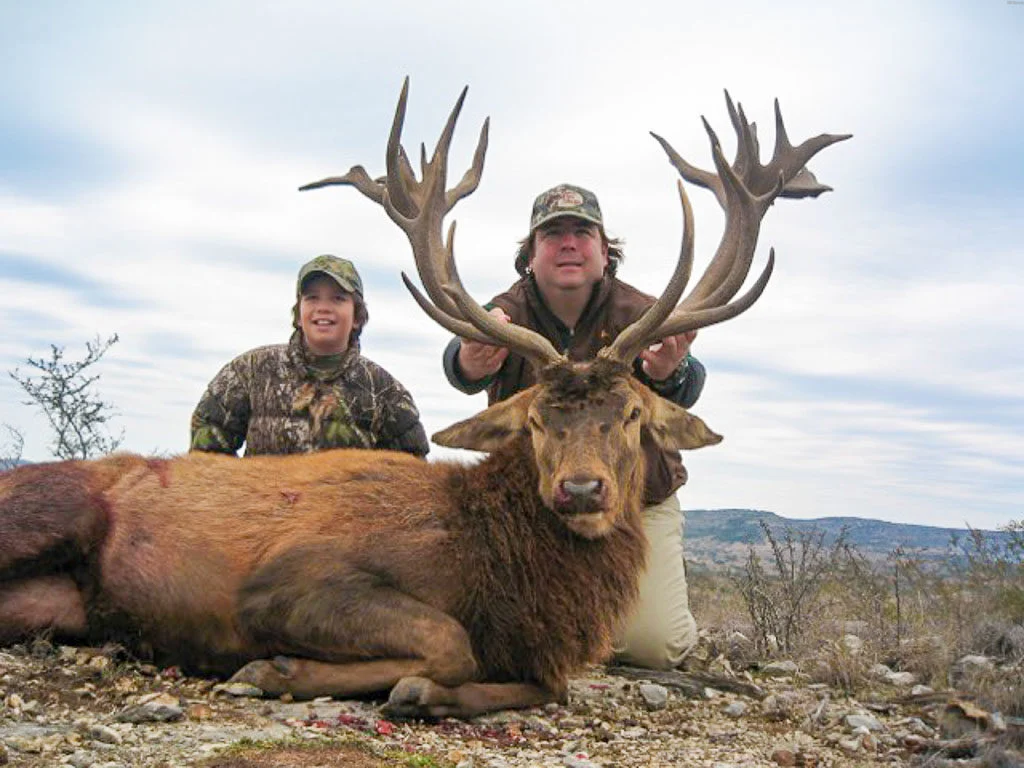 red-stag-trophy-hunt-1024x768