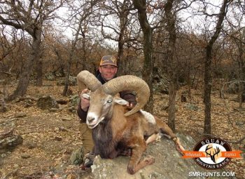 Red sheep hunts in texas