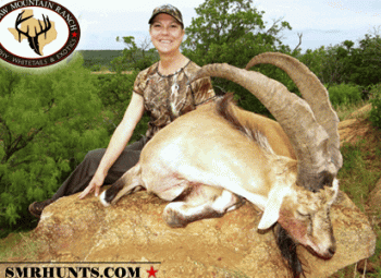 Hybrid Ibex Hunts texas