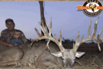 20210525090530-3eea87b0.gif